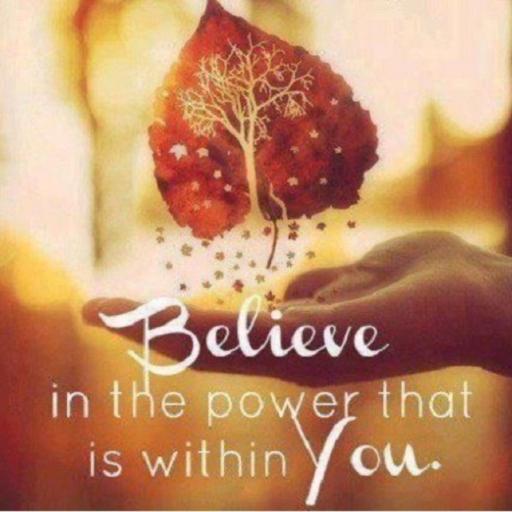 Coldwater Creek Velvet Vest — XL — EUC - Picture 6 of 7